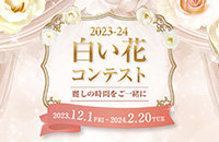 2023-24白い花コンテスト